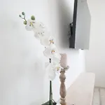 Floresita Apartman