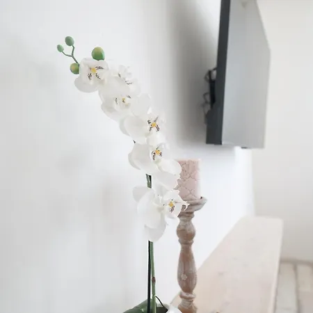 Floresita Appartamento