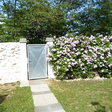 Floresita זאדאר